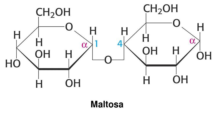 diagrama de disacárido