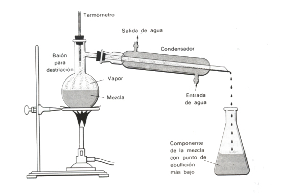 BIOLOGÍA 6 y 7 4 Lección Métodos de separación de